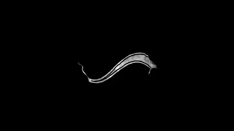 Sinus Paper Arrow Loop Background Stock Footage 320212726