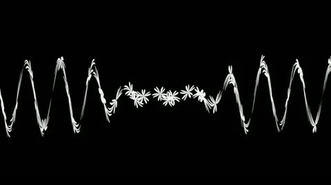 Sinusoids of flowers Stock Footage 12350399