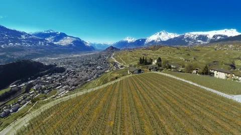 Sion vignes Stock Footage 36557326