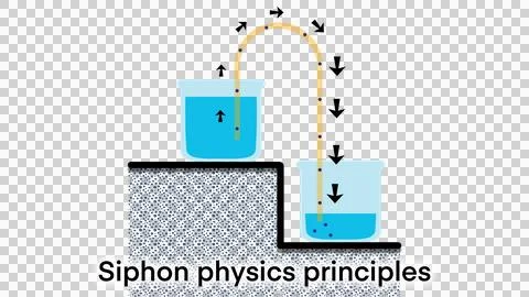 Siphon physics principles diagram, the flow of liquids through tubes Illustrazione stock