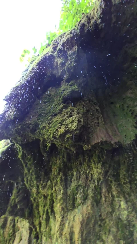 Sipote Waterfall (Cascadele de travertin) Stock Footage 317036147