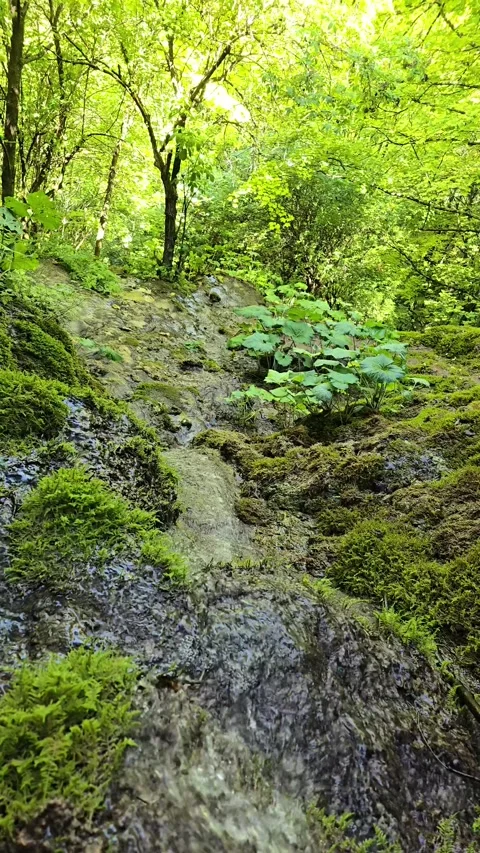 Sipote Waterfall (Cascadele de travertin) Stock Footage 317036302