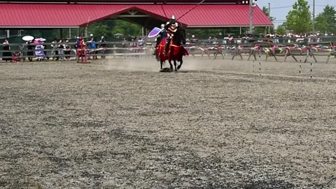 Sir Robert joust Stock Footage 243935315