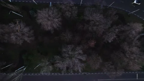 Сircular motion Stock Footage 226769811