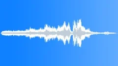 Siren Emergency Sirens Paramedic Wail Distant In & Off Side Stop 2x NYC MediumSound Effect
