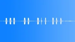 Siren Emergency Sirens Police Wail Yelper Horn Siren Variety Pack Parked Close- Sound Effect