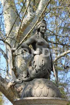 Siren Stock Photos