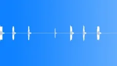Siren,Police,Buzzer,Short Blips,Med Far Sound Effect