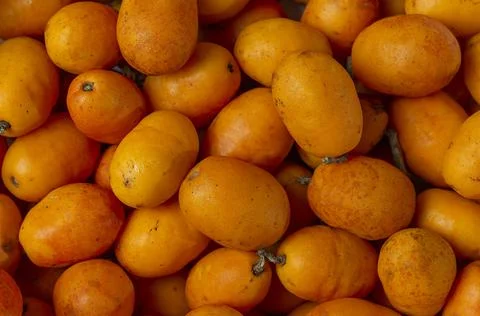 Siriguela 库存照片