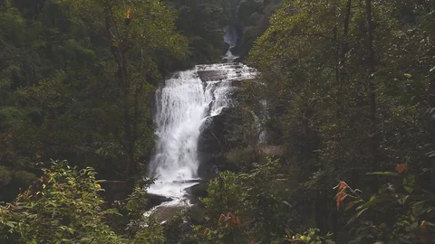Sirithan Waterfall Stock Footage 78820499
