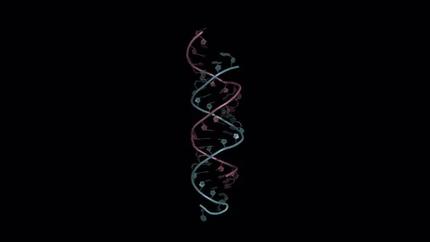 SiRNA bound to an mRNA, rotating model Stock Footage 79799673
