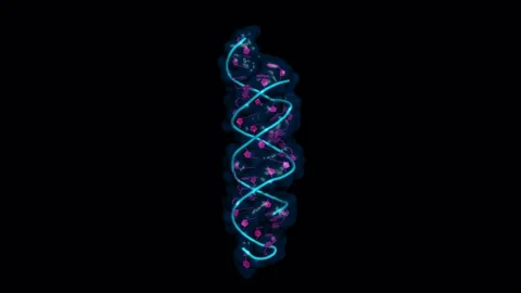 SiRNA:mRNA complex, rotating model Stock Footage 79799716
