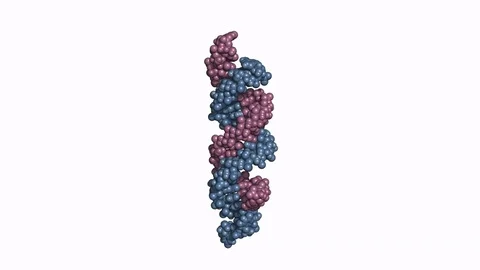 SiRNA:mRNA model 스톡 동영상 79799724