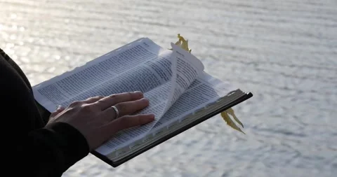 Sister nun reads the scriptures, yellow leaves Stock Footage 141512769