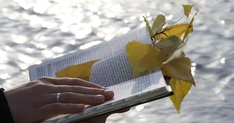 Sister nun reads the scriptures, yellow leaves Stock Footage 141512864