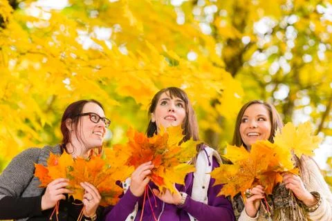 Sisters and maple leaves Stock-Fotos