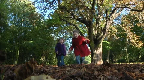Sisters in fall Stock Footage 22666269