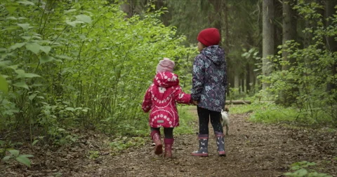 Sisters holding hands while walking amidst forest Stock Footage 134196449