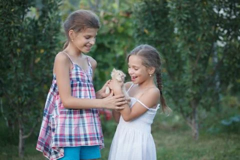 Sisters with a kitten Stock Photos