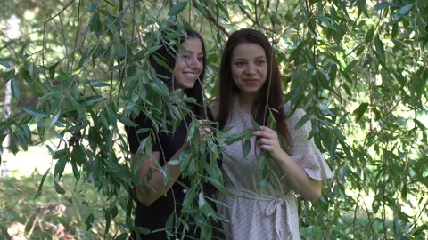 Sisters Twins Vídeo Stock 97391506