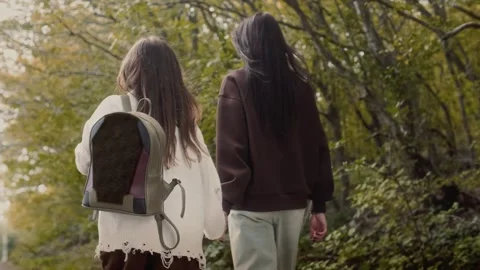 Sisters walking along a path in the forest among green trees holding hands Stock Footage 307593246