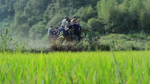 Sit people walking tractor Stock Footage 235265168