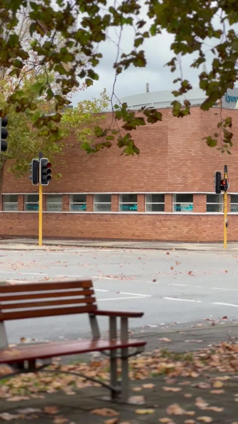 Sit, relax, and let the autumn winds carry your thoughts 스톡 동영상 296094953