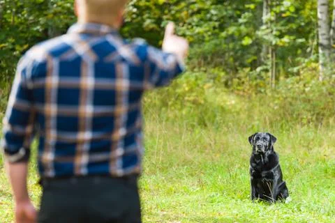 Sit training Stock Photos
