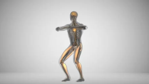 Sit ups muscles Stock Footage 89755915