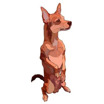 Sitiing dog Stock Illustration