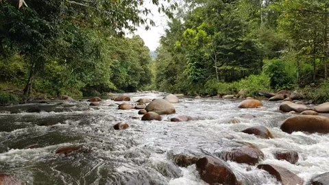 Sitongah River is usually called sei sitongah Stock Footage 236885400