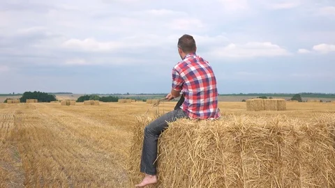 Sits on the hay Stock Footage 71380954