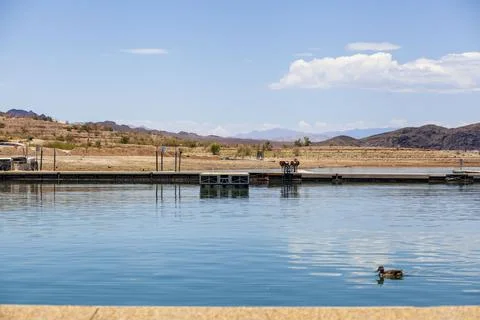 Sittin at the dock of the river. Stock Photos