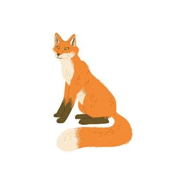 Sitting adorable ginger fox flat hand drawn vector illustration isolated. Stock Illustration
