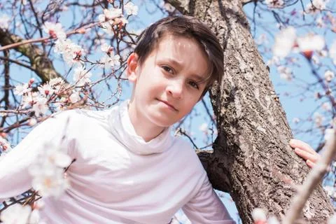 Sitting among branches of spring tree in blossoms Stock Photos
