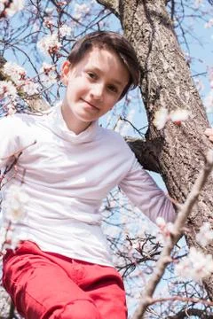 Sitting among branches of spring tree in blossoms Stock Photos