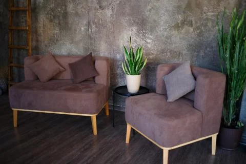 Sitting area with brown sofas and pots of juicy greenery Stock Photos