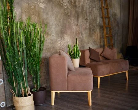 Sitting area with brown sofas and pots of juicy greenery Stock Photos