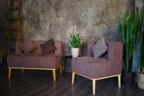 Sitting area with brown sofas and pots of juicy greenery Stock Photos