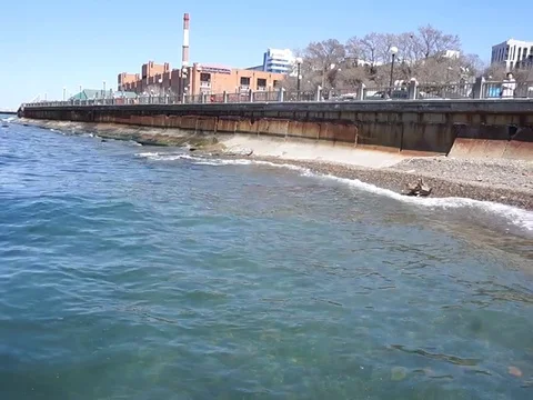 Sitting on the beach. Vídeo Stock 107344017