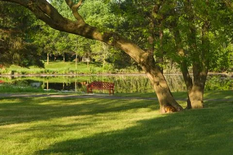 Sitting bench at a pond Stock Photos