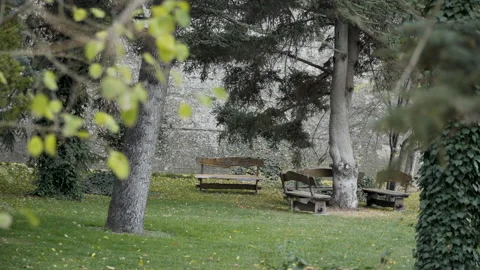 Sitting bench in their natural environment Stock Footage 225706706