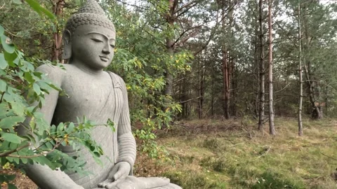Sitting Buddha In Netherland Forest Stock Footage 221480801