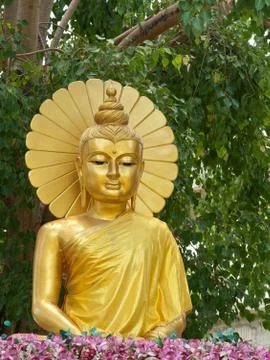 Sitting buddha under tree Stock Photos