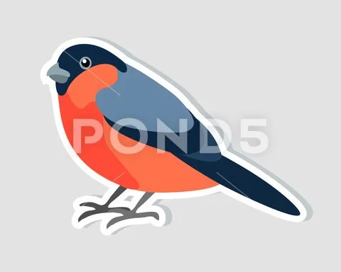 Sitting bullfinch isolated on white background. Christmas sticker. Winter icon Stock Illustration