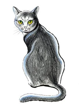 Sitting cat Stock Illustration