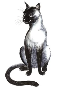 Sitting cat Stock-Illustration
