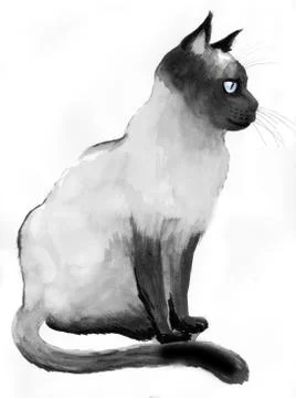 Sitting cat Illustrazione stock