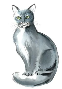 Sitting cat Stock Illustration