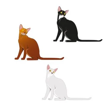 Sitting cute cats of three different colours (black, orange brown and white) Stock Illustration